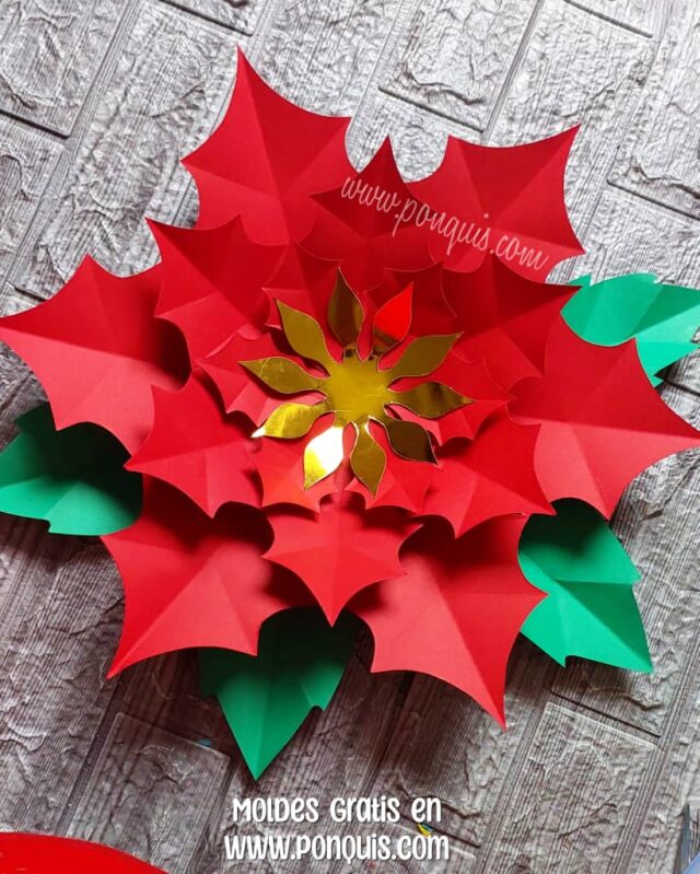 FLOR DE NAVIDAD 1 IMAGEN