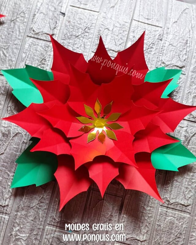 FLOR DE NAVIDAD 2 IMAGEN