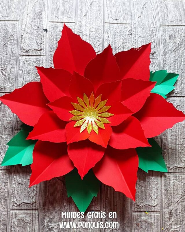 FLOR DE NAVIDAD 3 IMAGEN