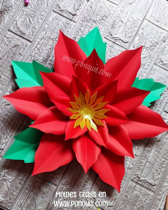 FLOR DE NAVIDAD 4 IMAGEN
